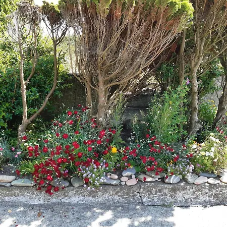 Traditional Farmhouse Σπίτι διακοπών Clonakilty