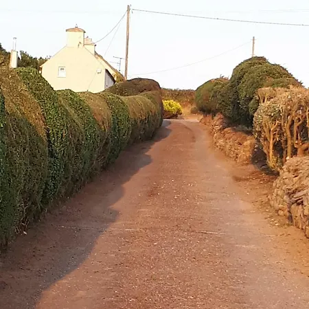 Σπίτι διακοπών Traditional Farmhouse *
